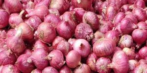 Onions