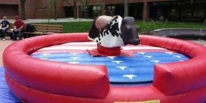 Bull Ride Game