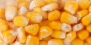 Frozen Corn