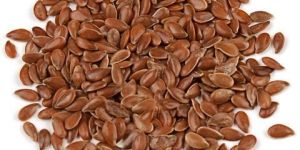 Flax Seed