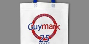 Non Woven Loop Handle Bag