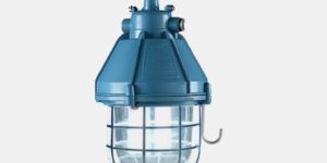 LW 31200 Flameproof Light Fitting