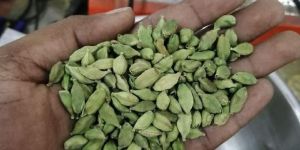 Green Cardamom