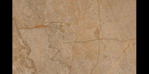 Glossy Porcelain Tiles