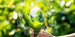 Environmental Consulting Services