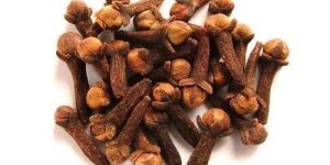 Clove Pods