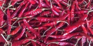 334 Dry Red Chilli