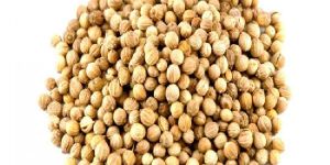 Coriander Seed