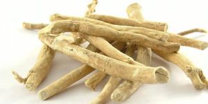 Ashwagandha Root