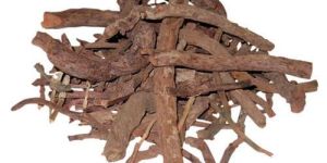 Taggri Root