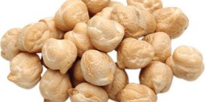 White Chickpeas