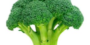 Fresh Broccoli