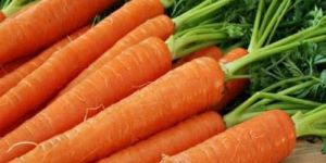Fresh Carrot