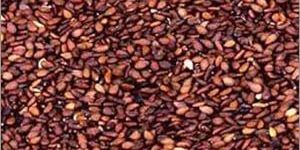 Red- Brown Sesame seed