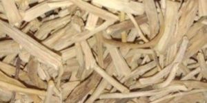 Dried Shatavari Root