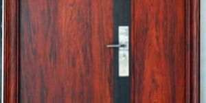 Steel Door
