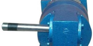 Worm Gear Motor