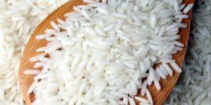 Kolam Rice