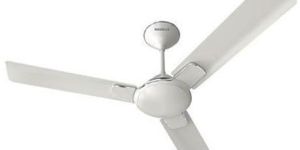 Ceiling Fans