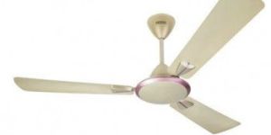 Electrical Ceiling Fans