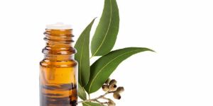 Eucalyptus Oil