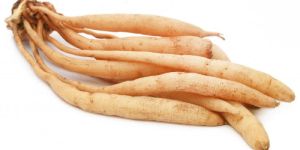 Shatavari Roots