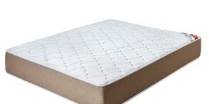 Bed Mattress