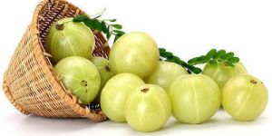 Fresh Amla