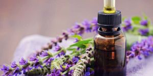 Clary Sage Oil