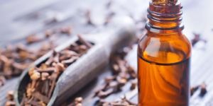 Clove Bud Oil