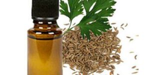 Parsley Seed Oil