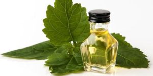 Patchouli Oil