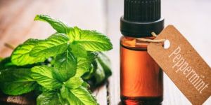 Peppermint Oil