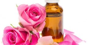 Rose Oil
