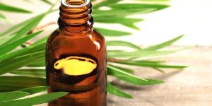 Tea Tree Oil