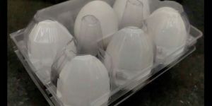 Plastic Egg Tray