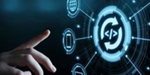 Web Development Service