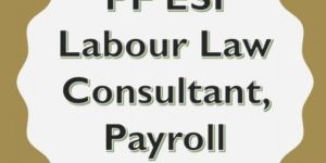 ESIC Consultant Service