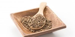 Coriander Seeds