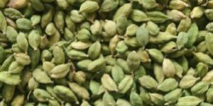 Small Green Cardamom