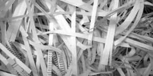Shredded Paper