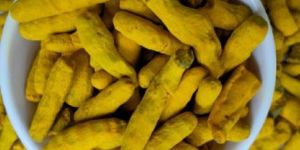Turmeric Finger