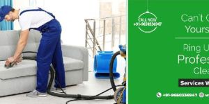 Sofa Cleaning Services