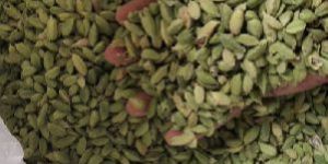 Cardamom