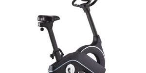 Gamma Upright Bike