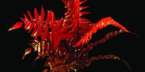 Yakumo Artificial Flowers