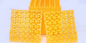 Plastic Egg Tray