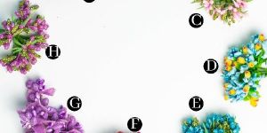 Pollen (F41) 144 PCS