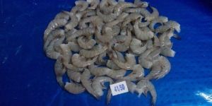 Headless Vannamei Shrimp