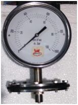 CAPSULE GAUGE
